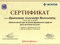 Реконструкция МЖ Москва 2012